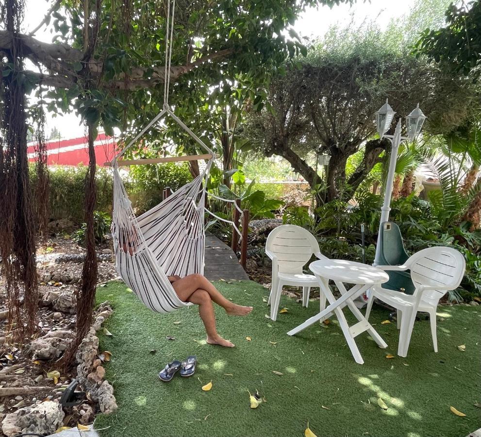 Suite Piscina: Alojamiento Privado con Sofá Cama San Vicente Raspeig Exterior photo