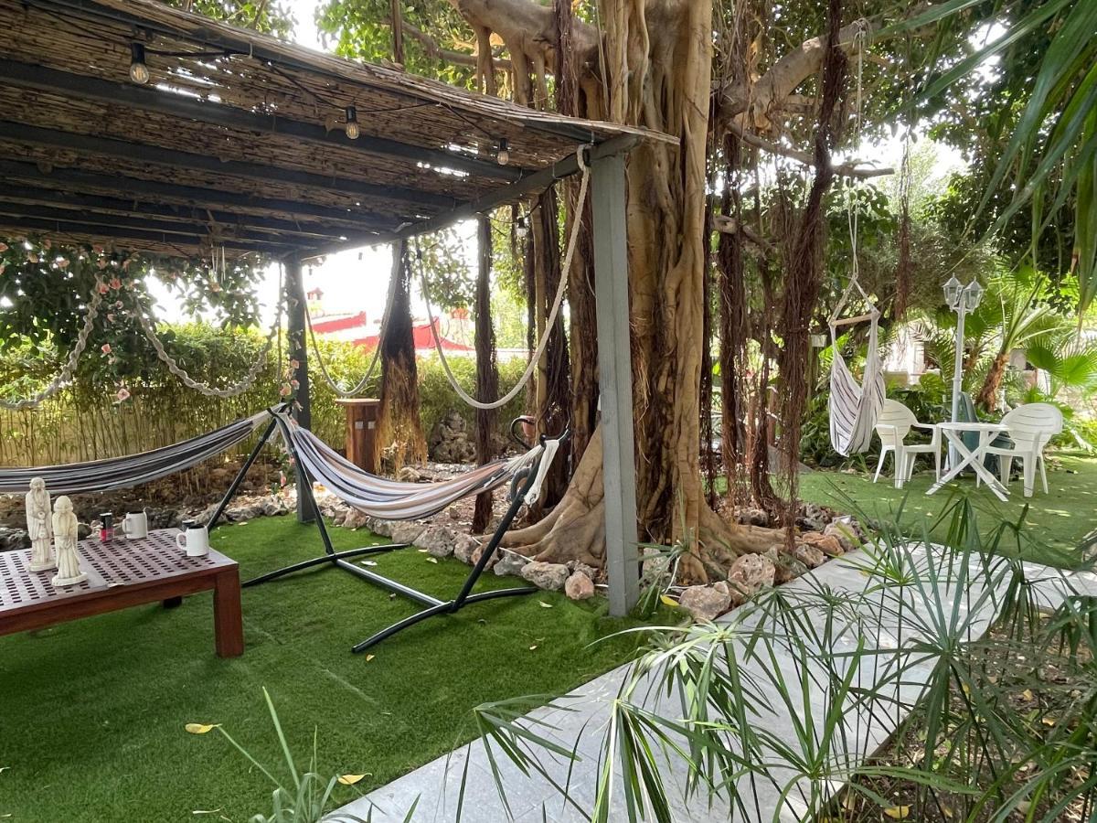 Suite Piscina: Alojamiento Privado con Sofá Cama San Vicente Raspeig Exterior photo